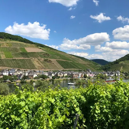 Haus Am Weinberg شقة زيل ان دير موسل
